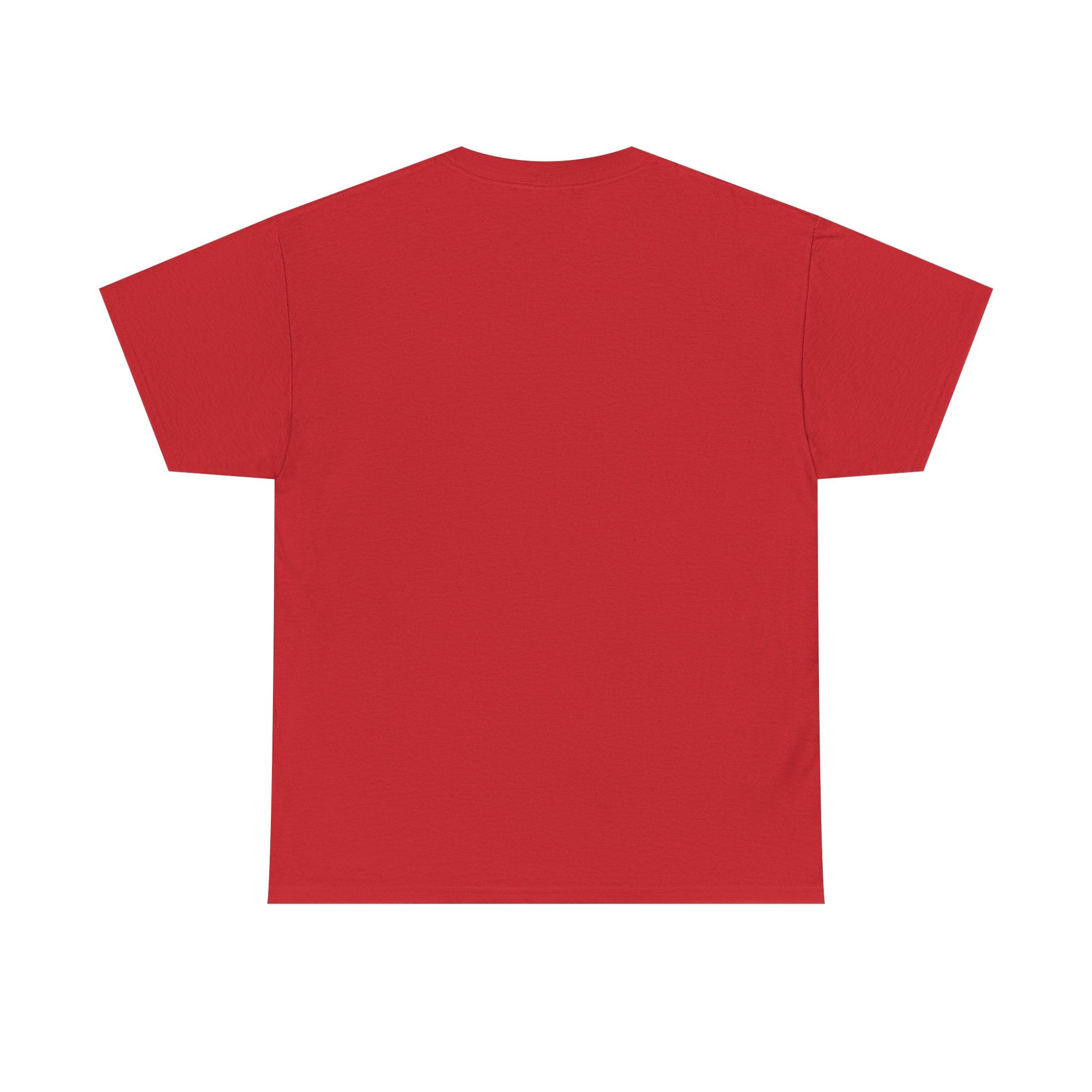 Sinner or Saint? Angel vs Devil Graphic Tee – Bold Naughty vs Nice T-Shirt 😈😇